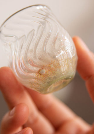 Un Studio x Masutani May ｜Orange Mint Tulip Glass Cups